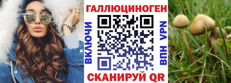 сколько стоит  маркетплейс телеграм  Псилоцибиновые грибы Psilocybe  Емва 